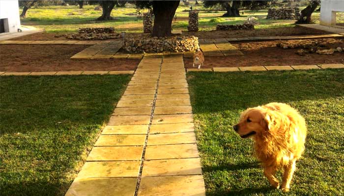 Tito e Tilly