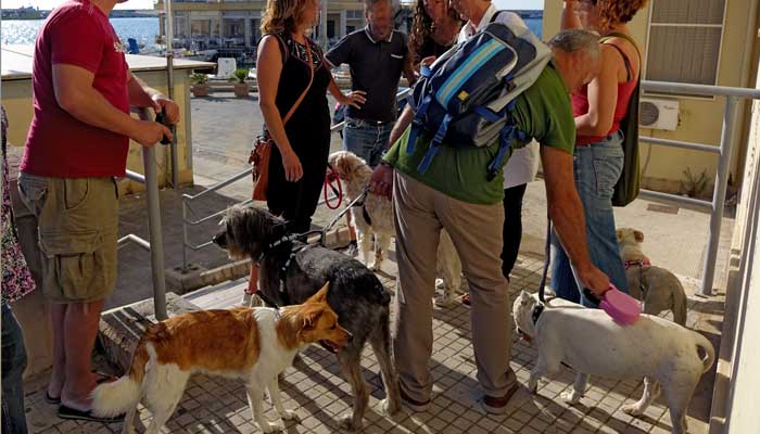 Visite Guidate Pet Friendly