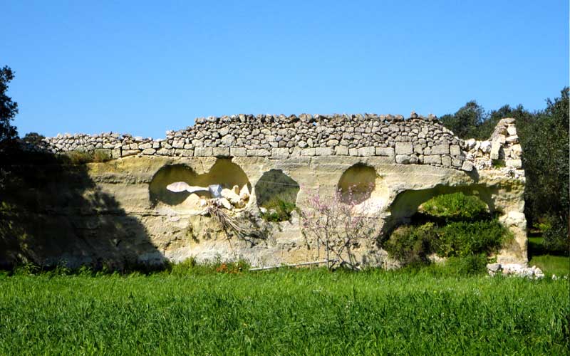 Muro del giardino segreto