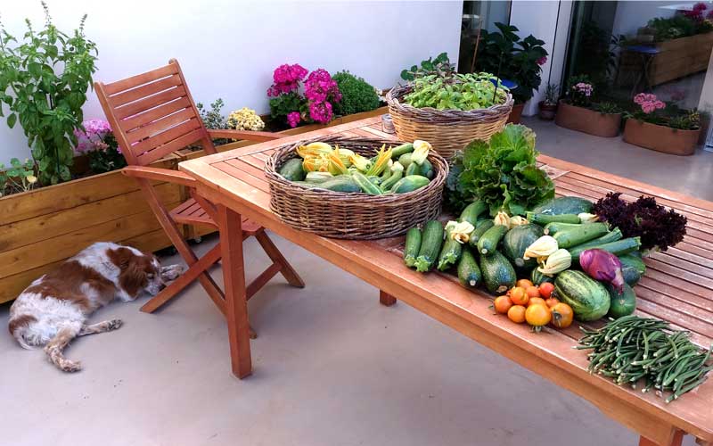 ortaggi e verdure dell'Orto